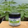 Organic CBD Lemongrass Shea Cream 450 mg - Image 2
