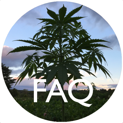 Bravo Botanicals FAQ